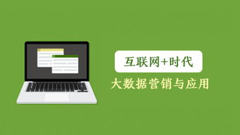 互聯(lián)網(wǎng)時(shí)代下的大數(shù)據(jù)營銷與應(yīng)用 驅(qū)動(dòng)銷售新變革